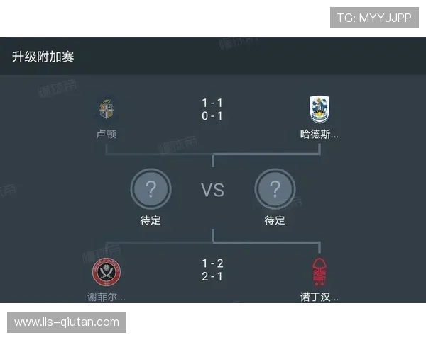 诺丁汉森林财务违规案新进展,英超联盟启动调查程序 诺丁汉森林财务违规案新进展,英超联盟启动调查程序